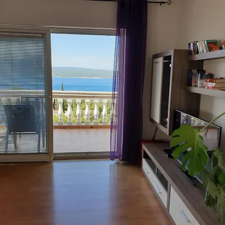 公寓 Velic 茨里克韦尼察